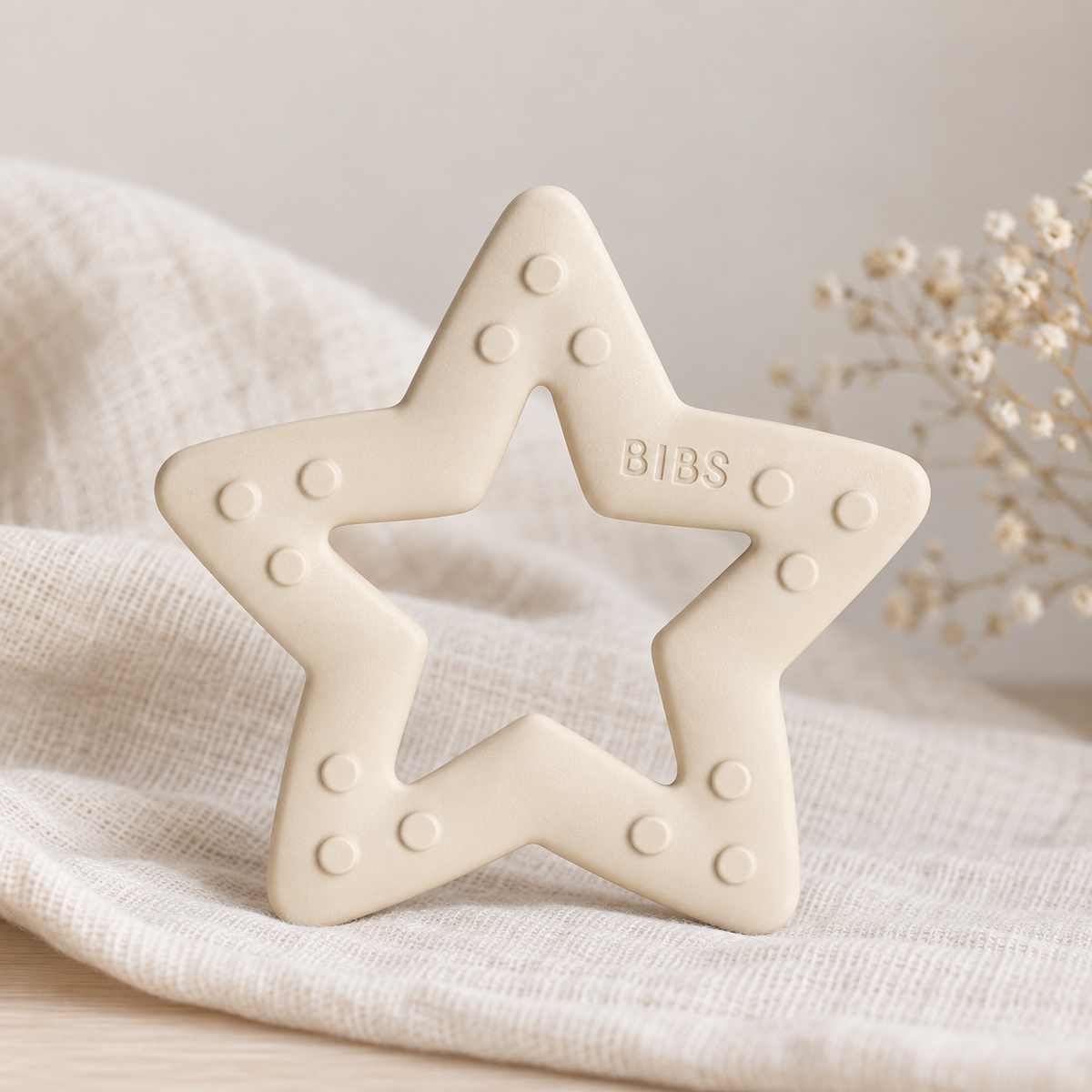Bidering Stjerne (BIBS)
